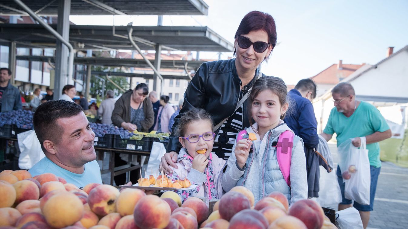 Így készítsük fel szervezetünket az őszre a megyei szakemberek szerint