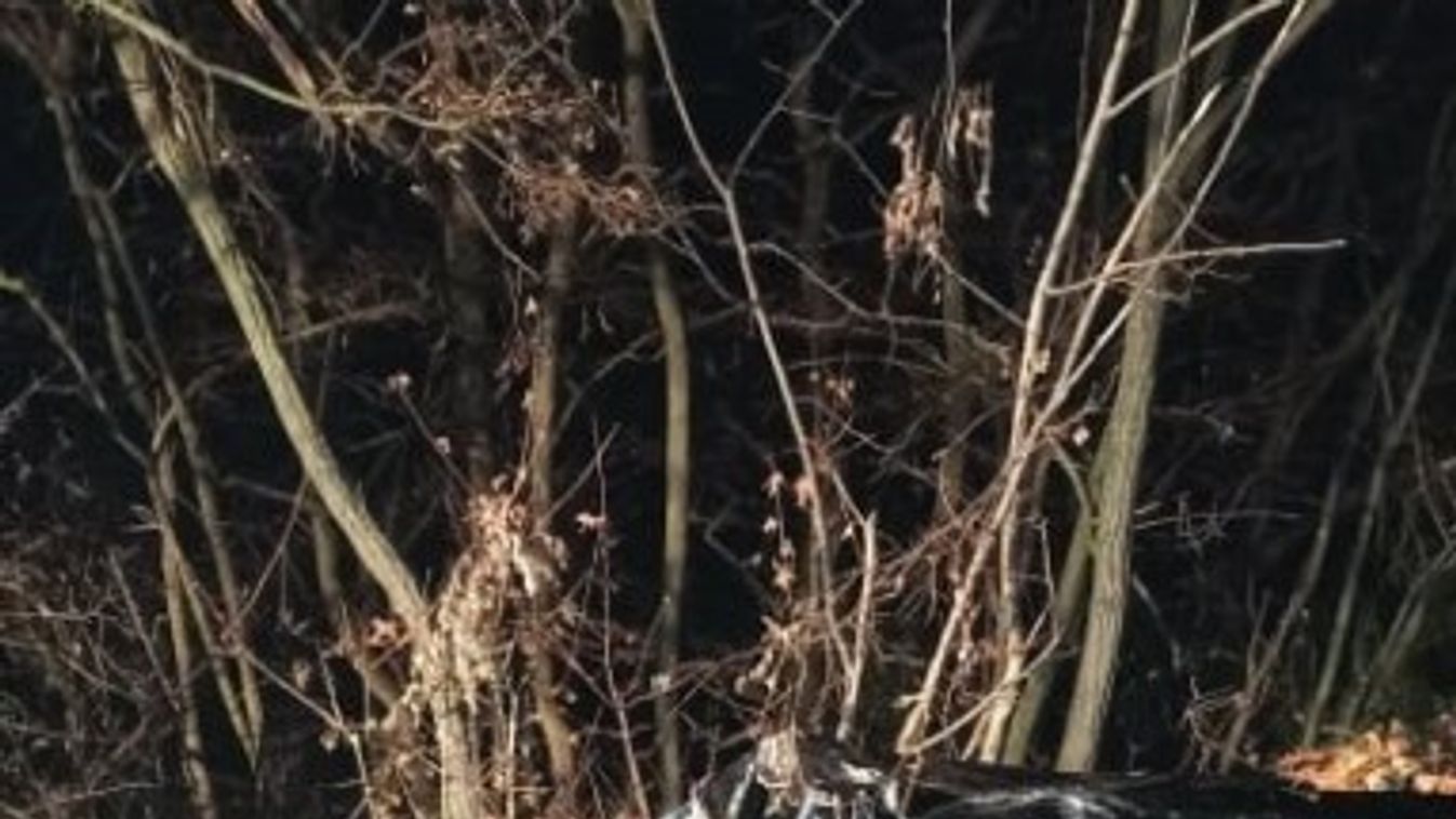 Ittasan, jogosítvány nélkül, a rendőrök elől menekülve hajtott árokba a szentkúti halálos baleset áldozata