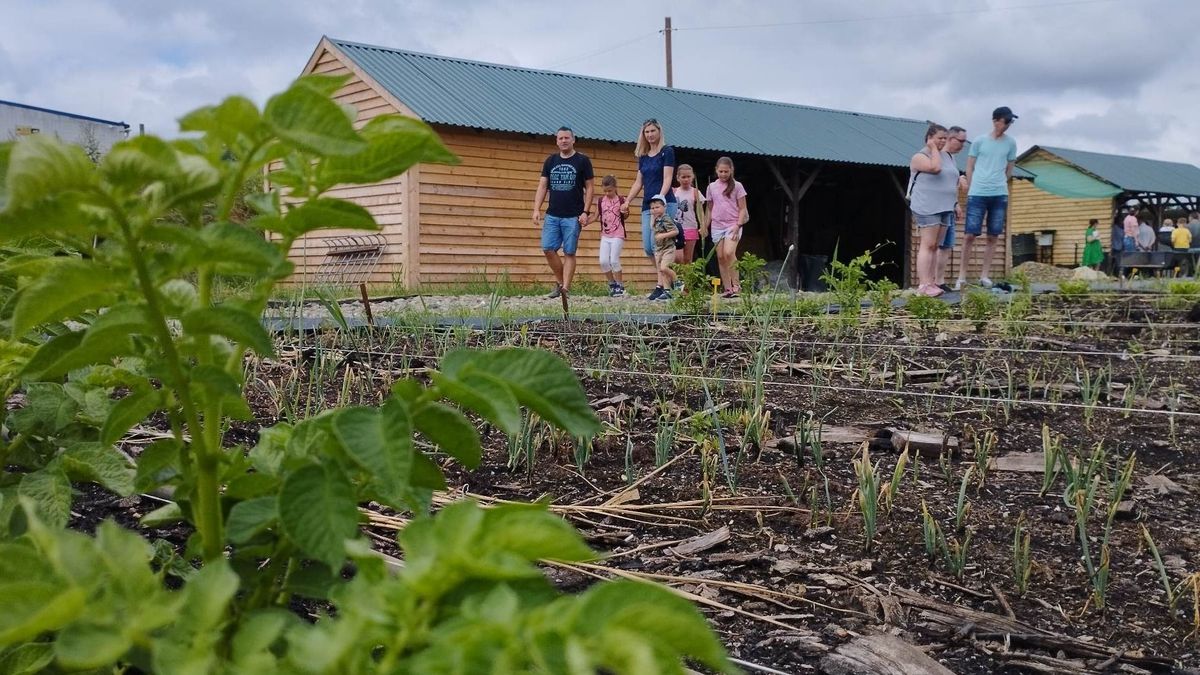 Közösségi farmon, vegyszermentesen nevelik a zöldségeket Vizslás határában