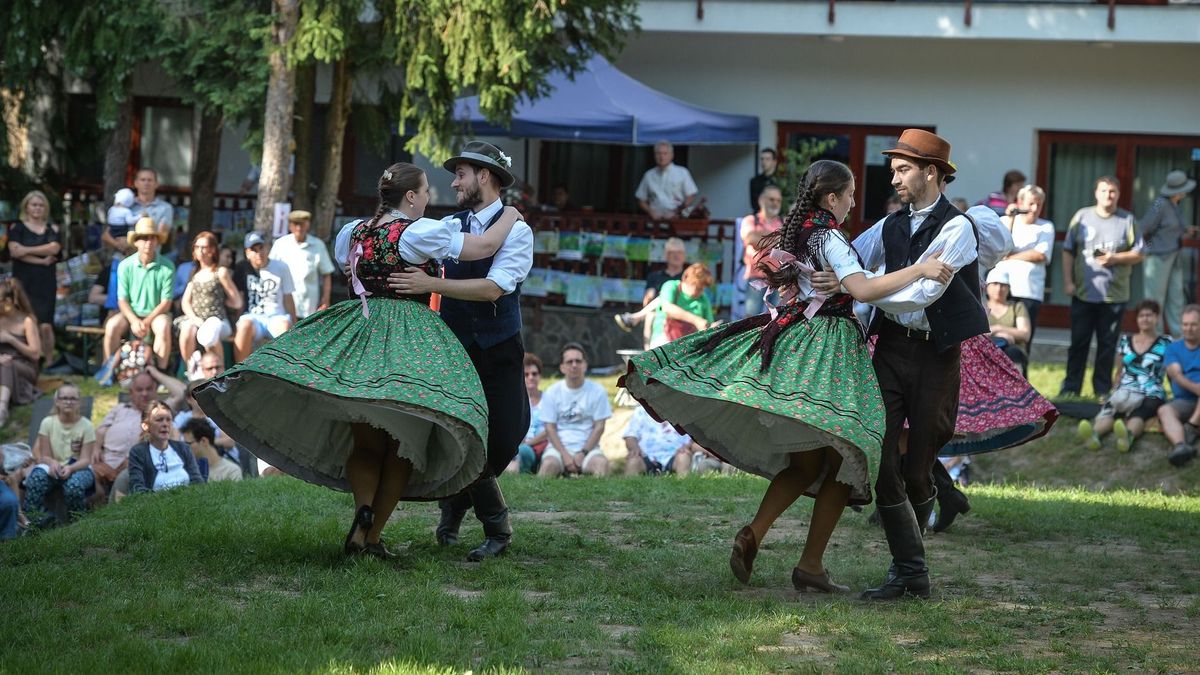 Jubilál a Muzsikál az erdő, Nógrádban is színes programok várják a zenekedvelő közönséget