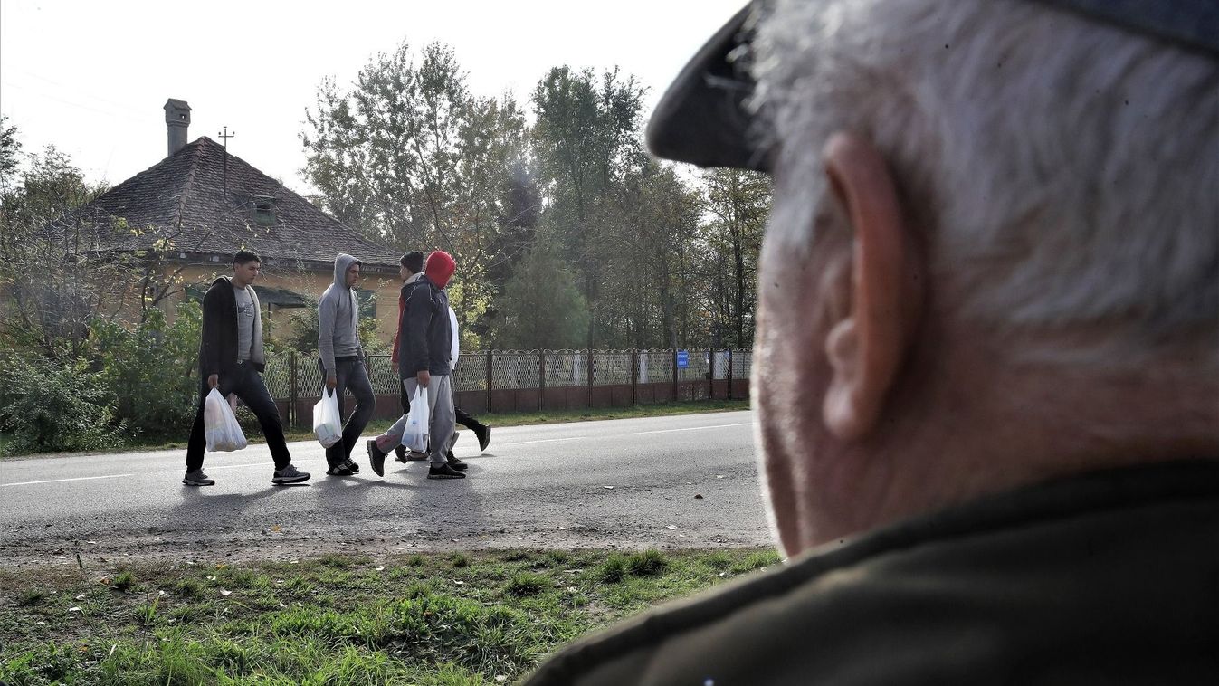 Migránsokat fogtak el, fegyvereket foglaltak le a rendőrök a szerb-magyar határ közelében
