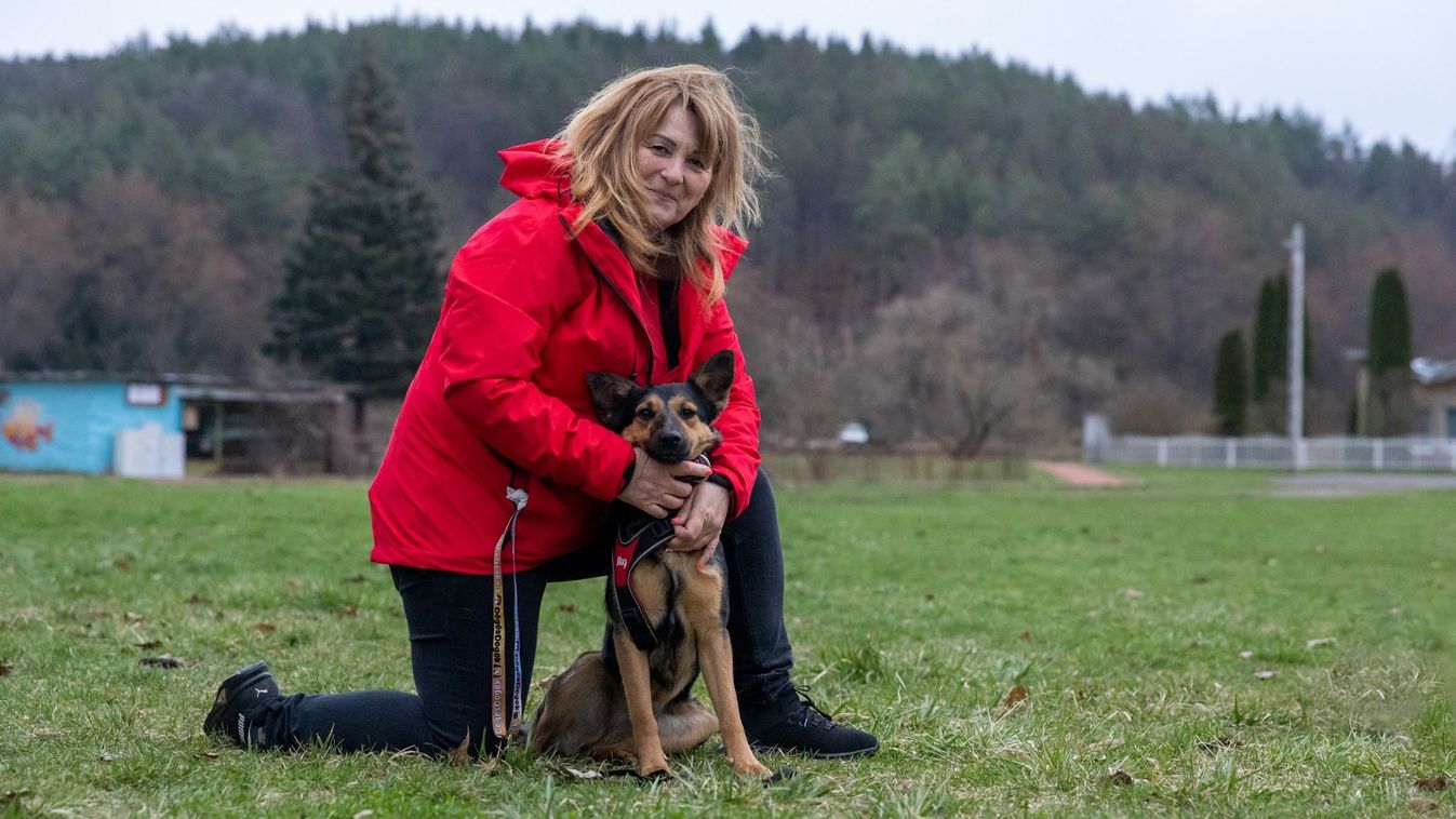 Eltűntekre találhat rá Vega, a mentett kiskutya (videó)