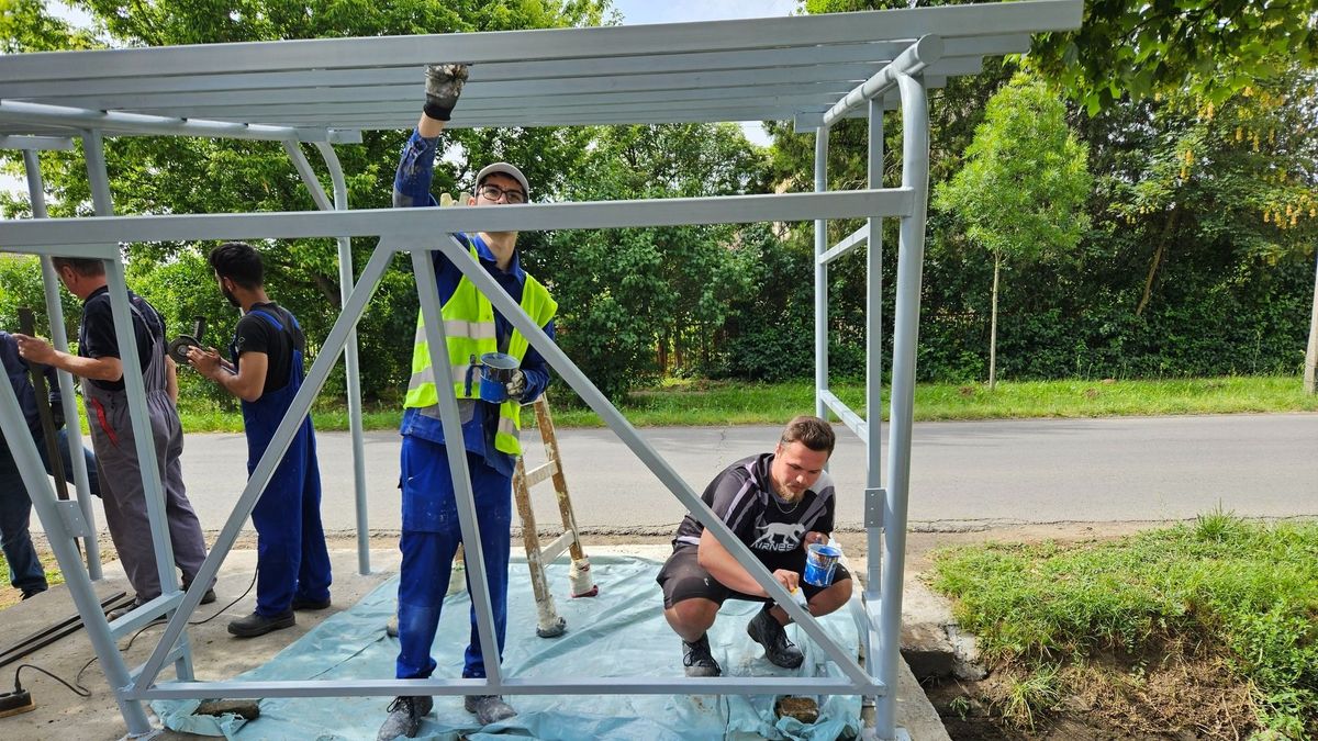 Több buszmegállót is kialakítanak a diákok a szakmai gyakorlatuk során