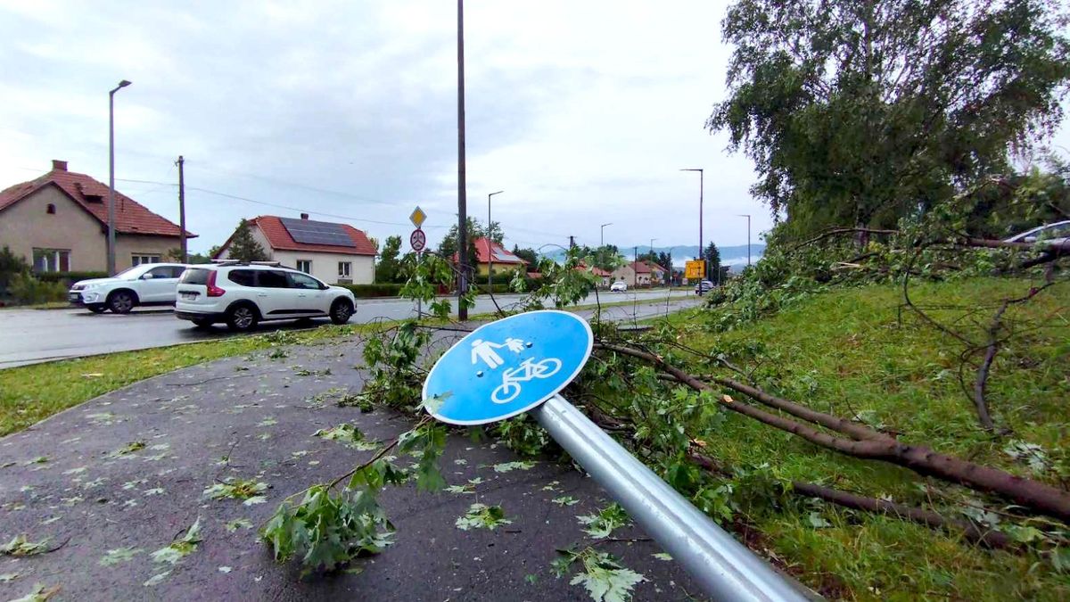 vihar, viharkár, kidőlt fa