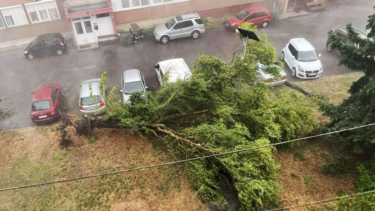 A gyarmati Dózsa utca környékén is tombolt a vihar, az erős szél fákat csavart ki