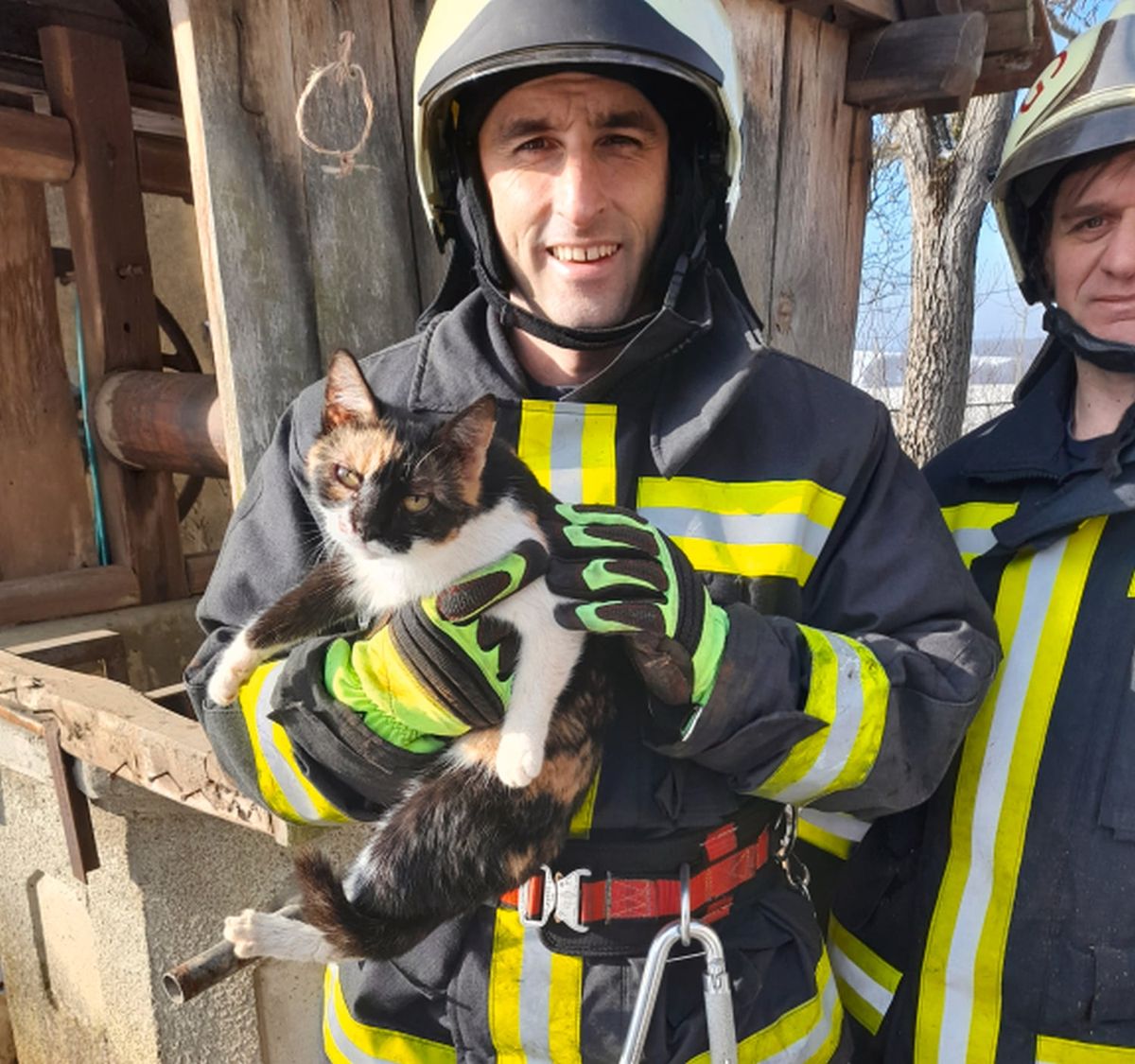 Bajba jutott állaton segítettek a lánglovagok