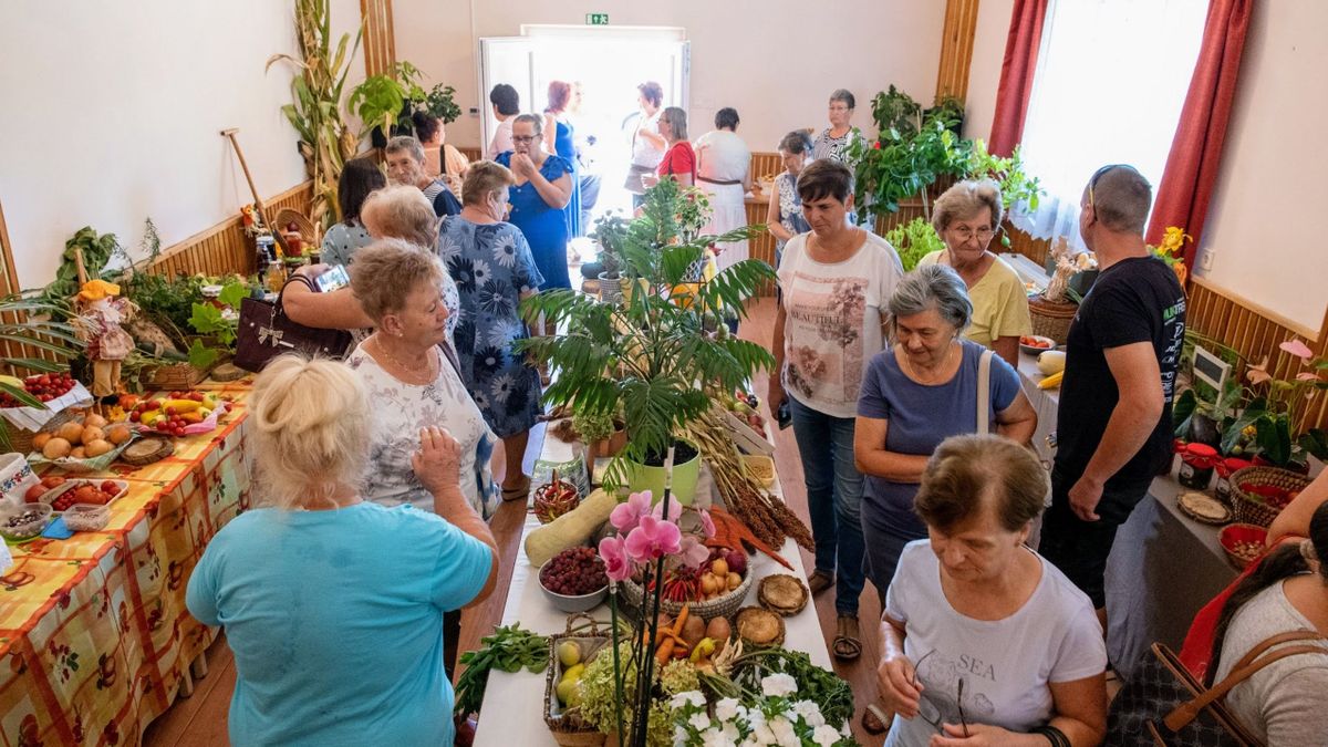 Kiállítás mutatja be az etesi kertművelők munkájának a gyümölcsét és a zöldségét