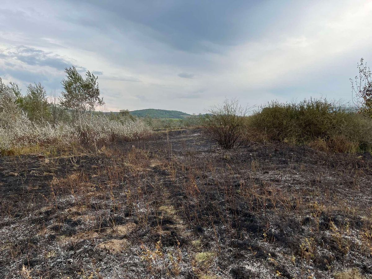 Lángolt a nádas Bátonyterenye és Vizslás-Újlak között