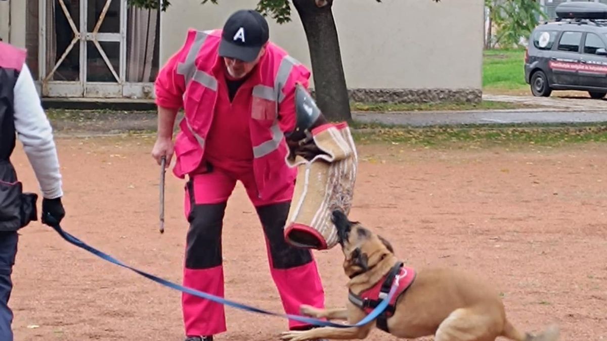 A HELP Mentőkutyás Egyesület tartott egy izgalmas előadást a diákoknak