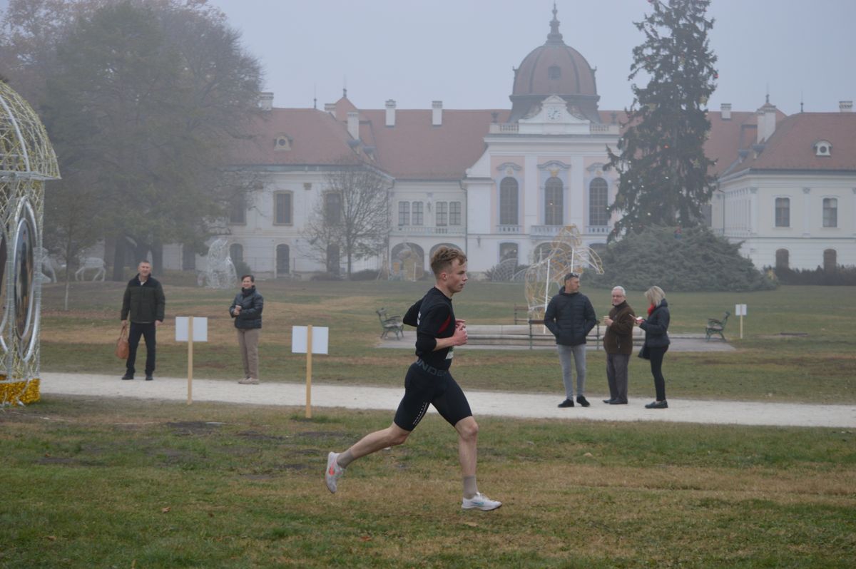 Varga Félix 8. lett a gödöllői kastélypark dombjai között