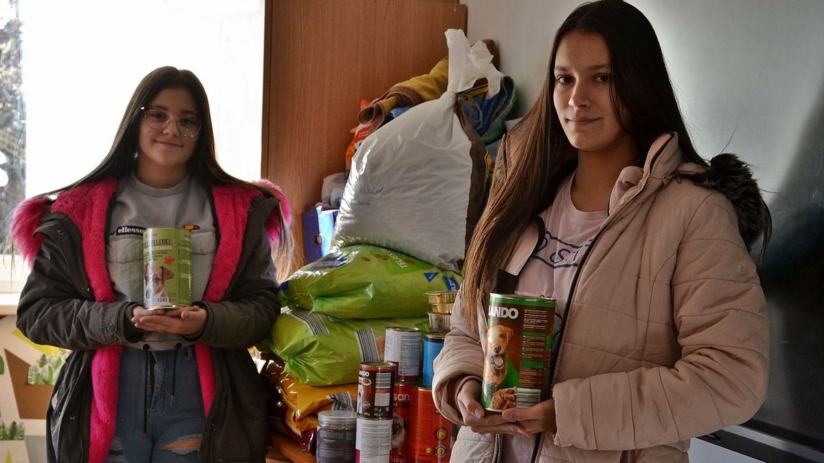 Menhelyi állatoknak gyűjtöttek adományokat a dorogházai diákok