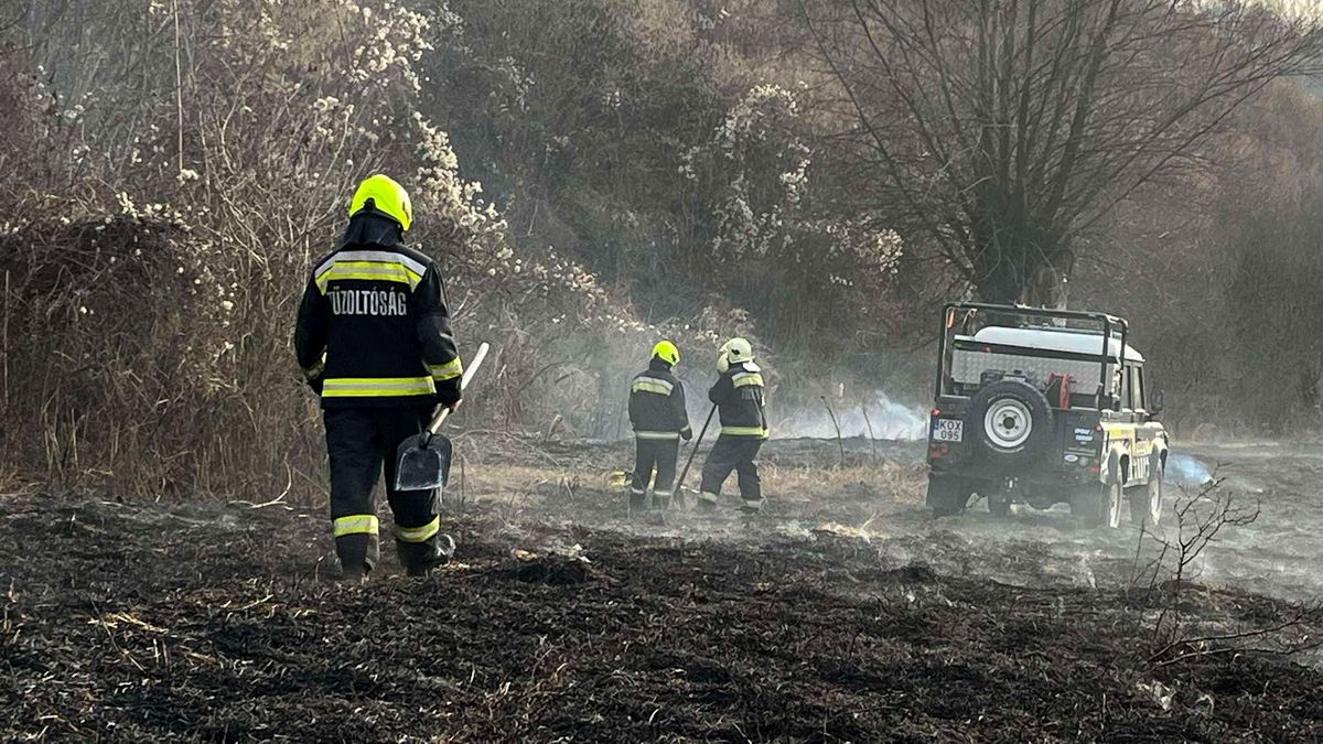 A tűz nagy területen pusztít Nógrádmegyer közvetlen szomszédságában