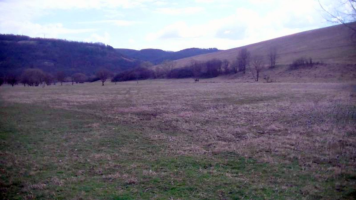 NAV árverés, ingatlan, Nógrád
