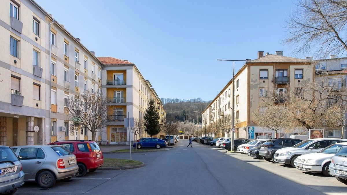 pályázat