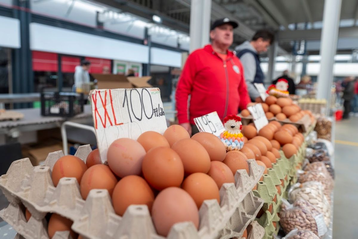 Az elmúlt egy évben 20 százalékkal nőtt a tojás ára az Agrárközgazdasági Intézet jelentése szerint
