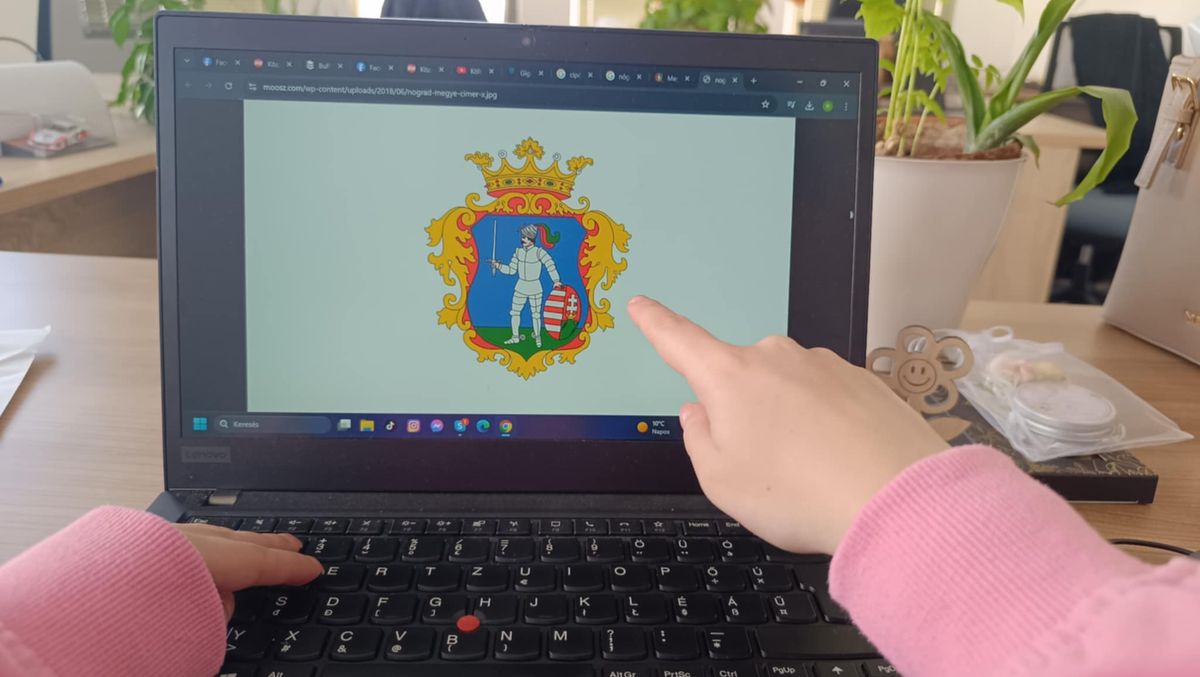 Íme Nógrád vármegye címere, de ismered a nagyobb városokét is? Teszteld tudásodat!