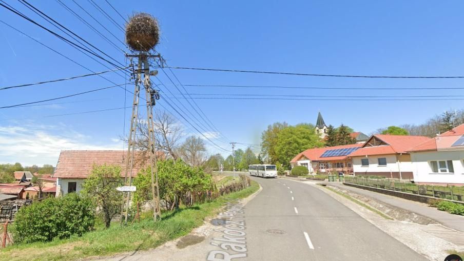 gólyák