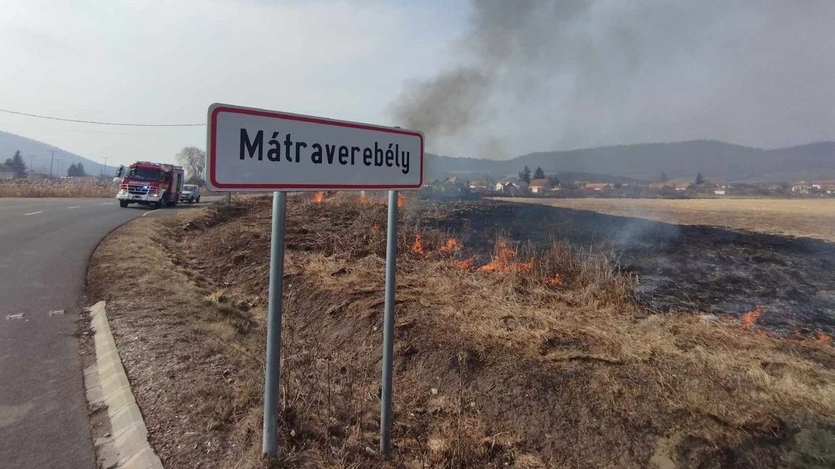 tűz