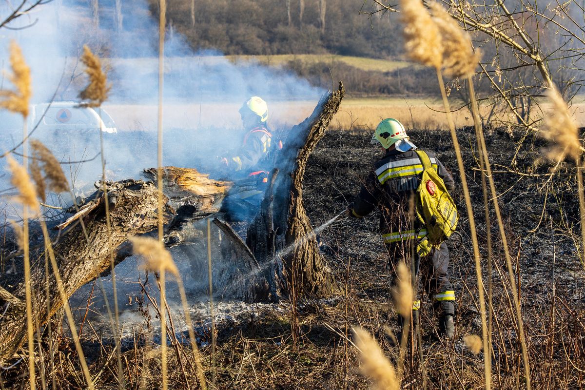 Kemény munkában a tűzoltók: hatalmas területen pusztítanak a lángok