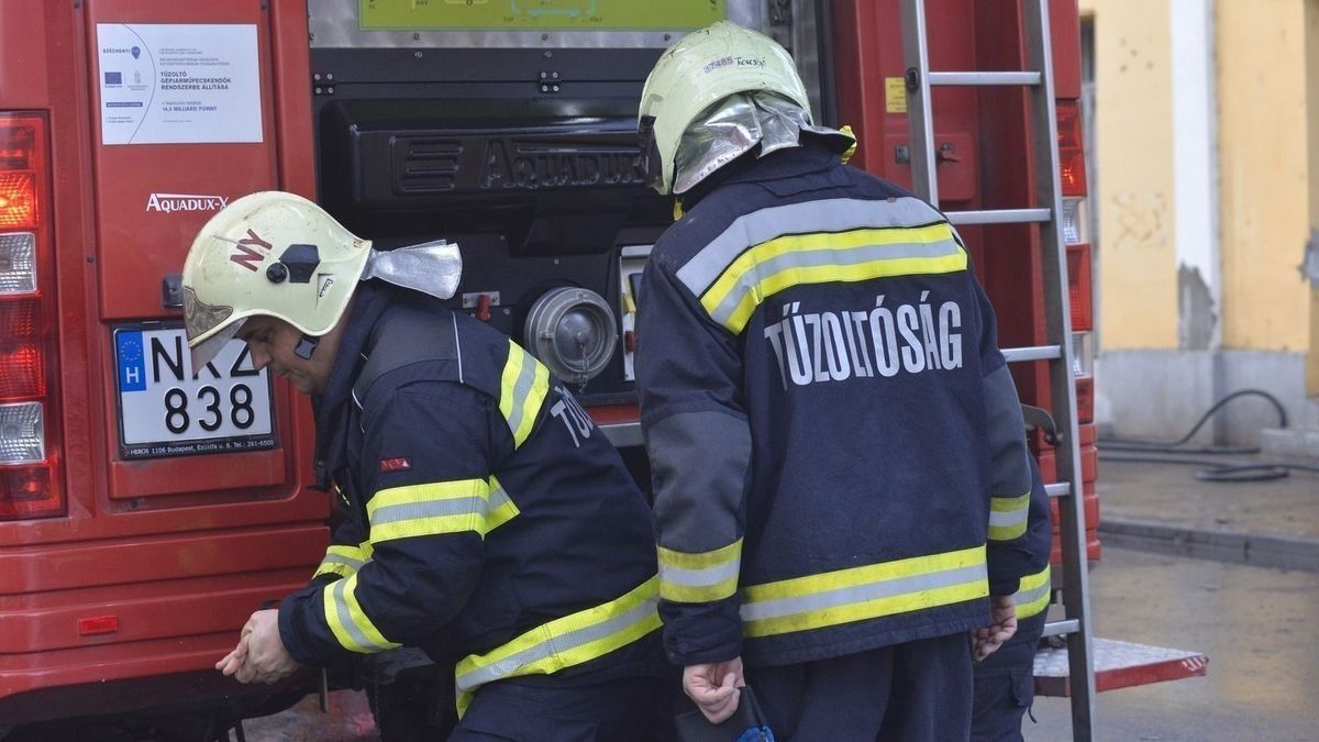 tűzoltók, szabadtéri tüzek