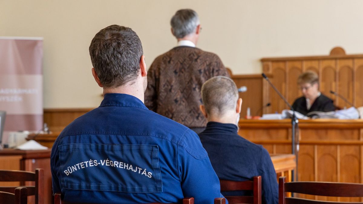 gyilkosság, Diósjenő, testvérpár, tárgyalás, kettős gyilkosság