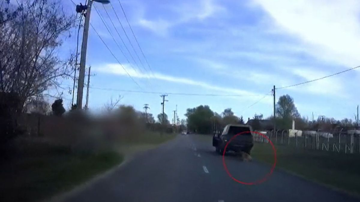 Kegyetlen állatkínzás: terepjárójával húzta az úton a láncra kötött kutyáját egy férfi