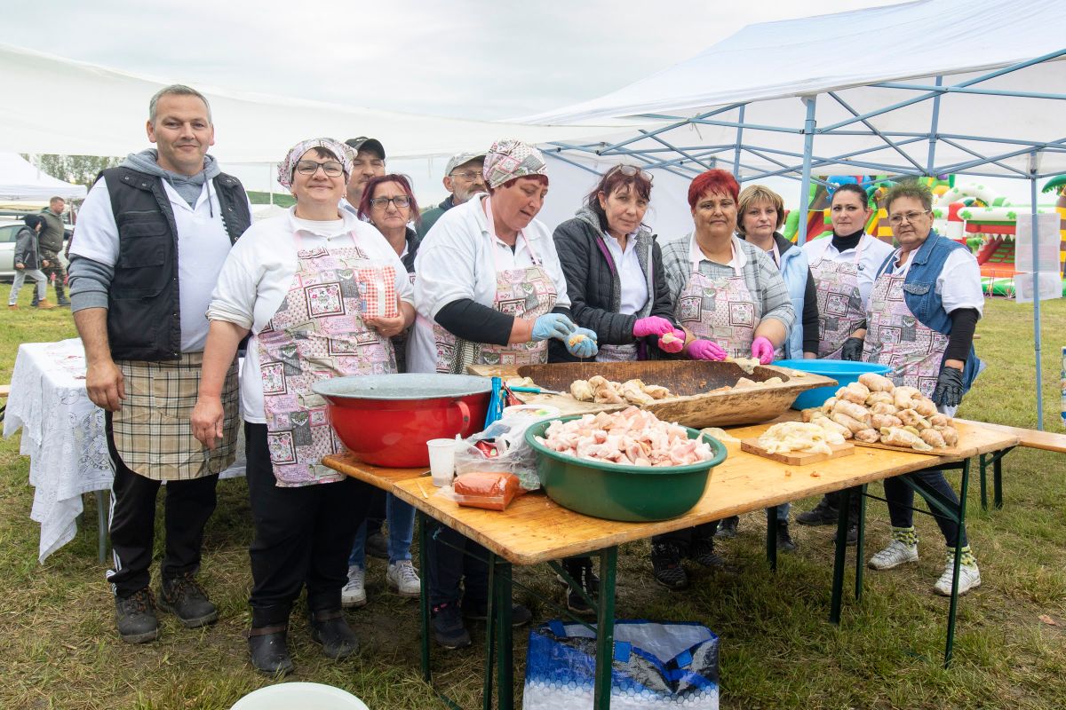 programok, Böllér Bajnokok Ligája, Tacskótalálkozó, családi nap, Nyúlfesztivál