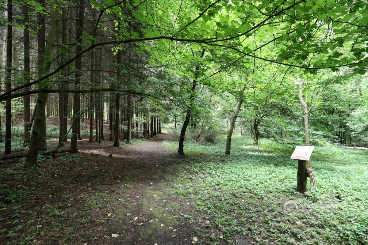 A Tuzson arborétum kiváló választás azoknak, akik szeretik a természet csendjét hallgatni