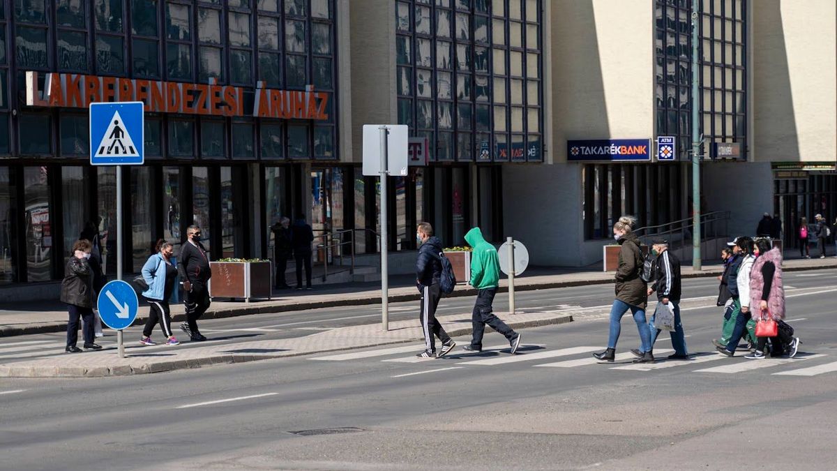 Okoszebra épülhet Salgótarjánban Fotó: Hegedűs Márk / Forrás: Nool Archív