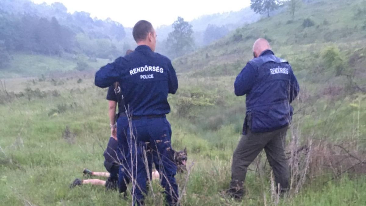 Az autótolvajt Nemti határában kapcsolták le a rendőrök a helyiek segítségével