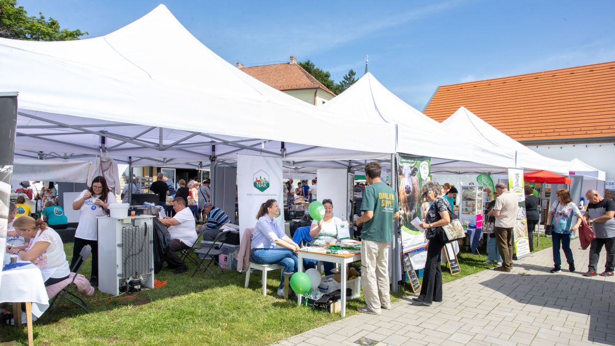 programok, Sajtimádók Napja, koncert