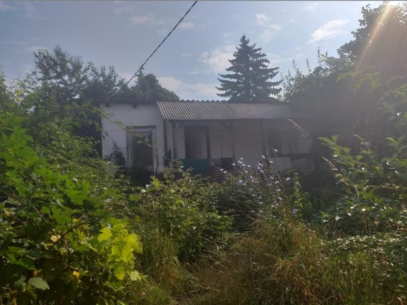 A NAV árverési felületén található somlyóbányai hétvégi ház felújításra szorul, de nagyon kedvező áron szerezhető be