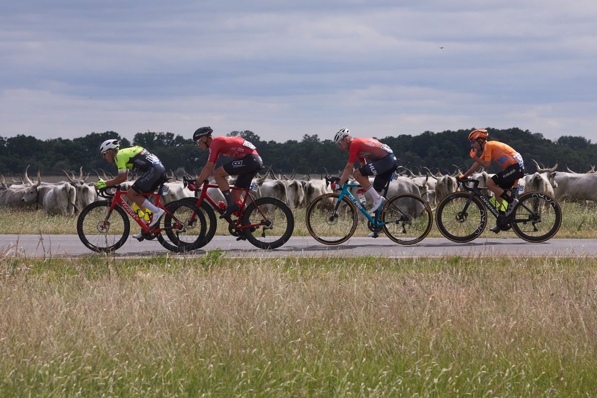 Rózsa Balázs az élen a tavalyi Tour de Hongrie-n