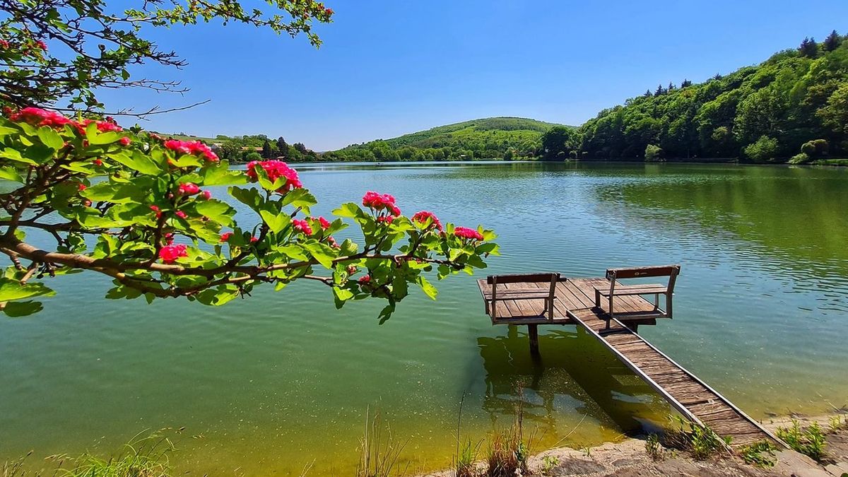 Bánk, Bánki-tó, opálos víz, vízminőség, vizsgálat