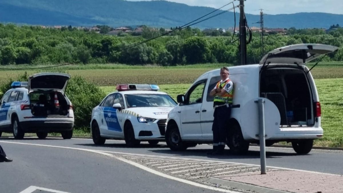 Meglepő látvány! Két repülőgép landolt a 21-es főút mellett