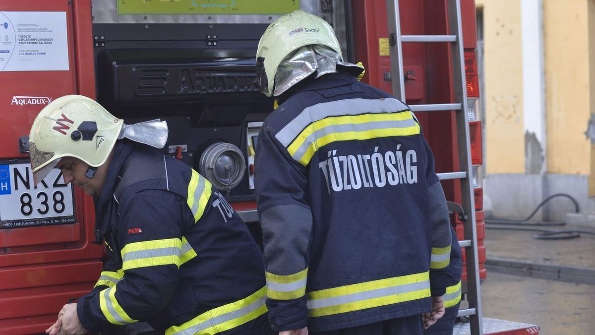 kutya, tűzoltók, Nagylóc, kútba zuhant