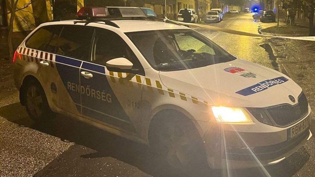 Kegyetlen dolgokat műveltek egy beteg lánnyal a nógrádi faluban, mentő vitte el