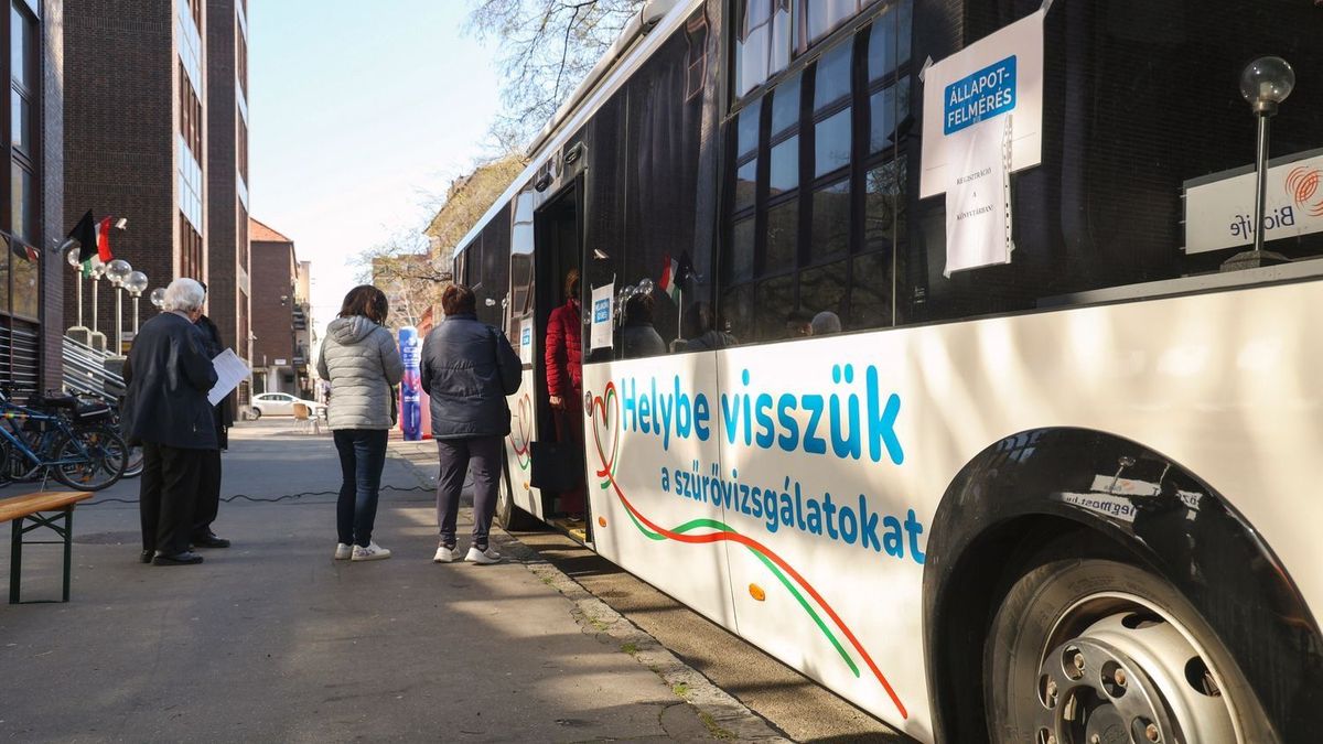 Szűrőbusz, Bercel