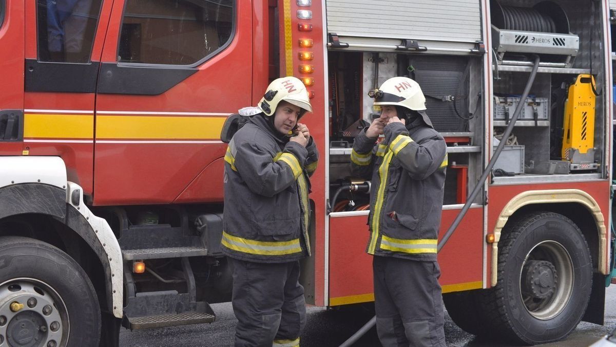 tűzoltók, szél, fák, faágak, elektromos vezeték, veszély