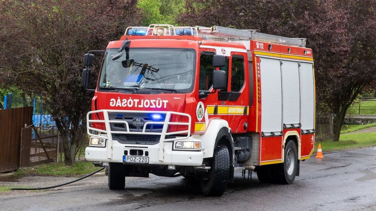 kánikula, nyár, hőség, zárt autó, veszély figyelmeztetés