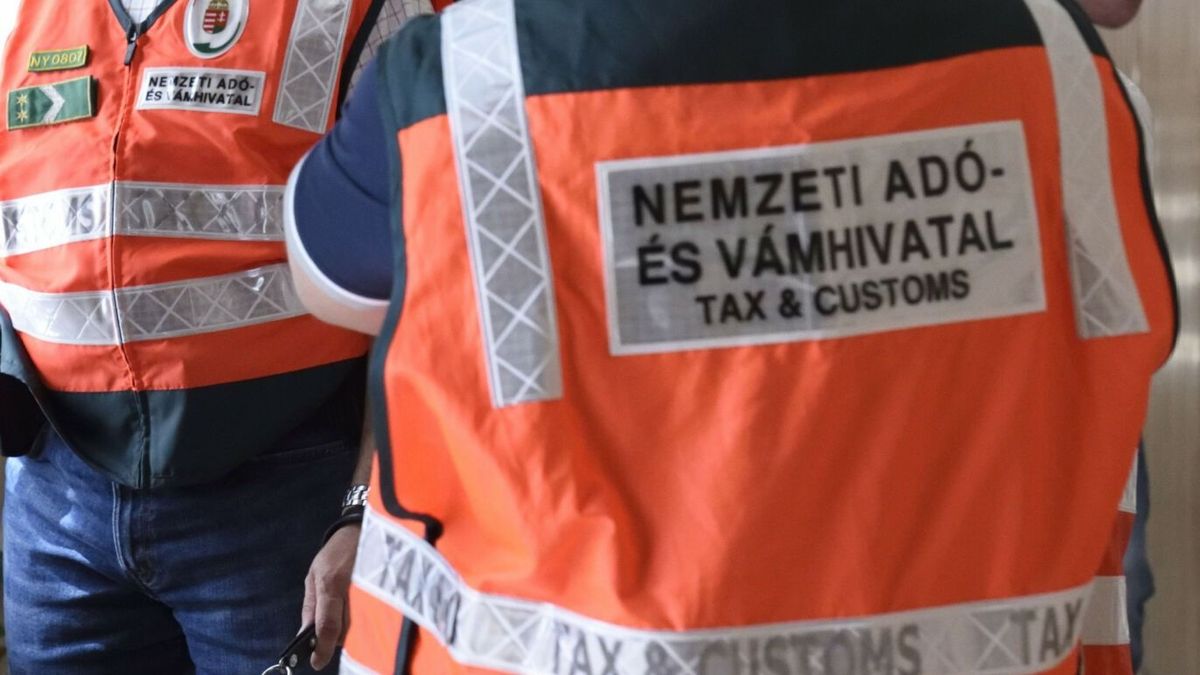 A NAV ellenőrei a jövő héten a medencepartokon is feltűnhetnek
