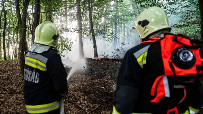 A két tragédia mellett a hatalmas salgótarjáni erdőtűz is sokakat megrázott