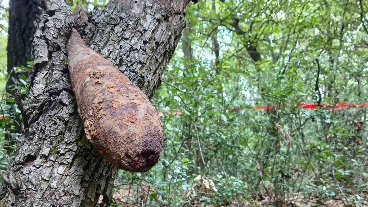 Így néz ki, amikor egy bomba szó szerint gyökeret ver