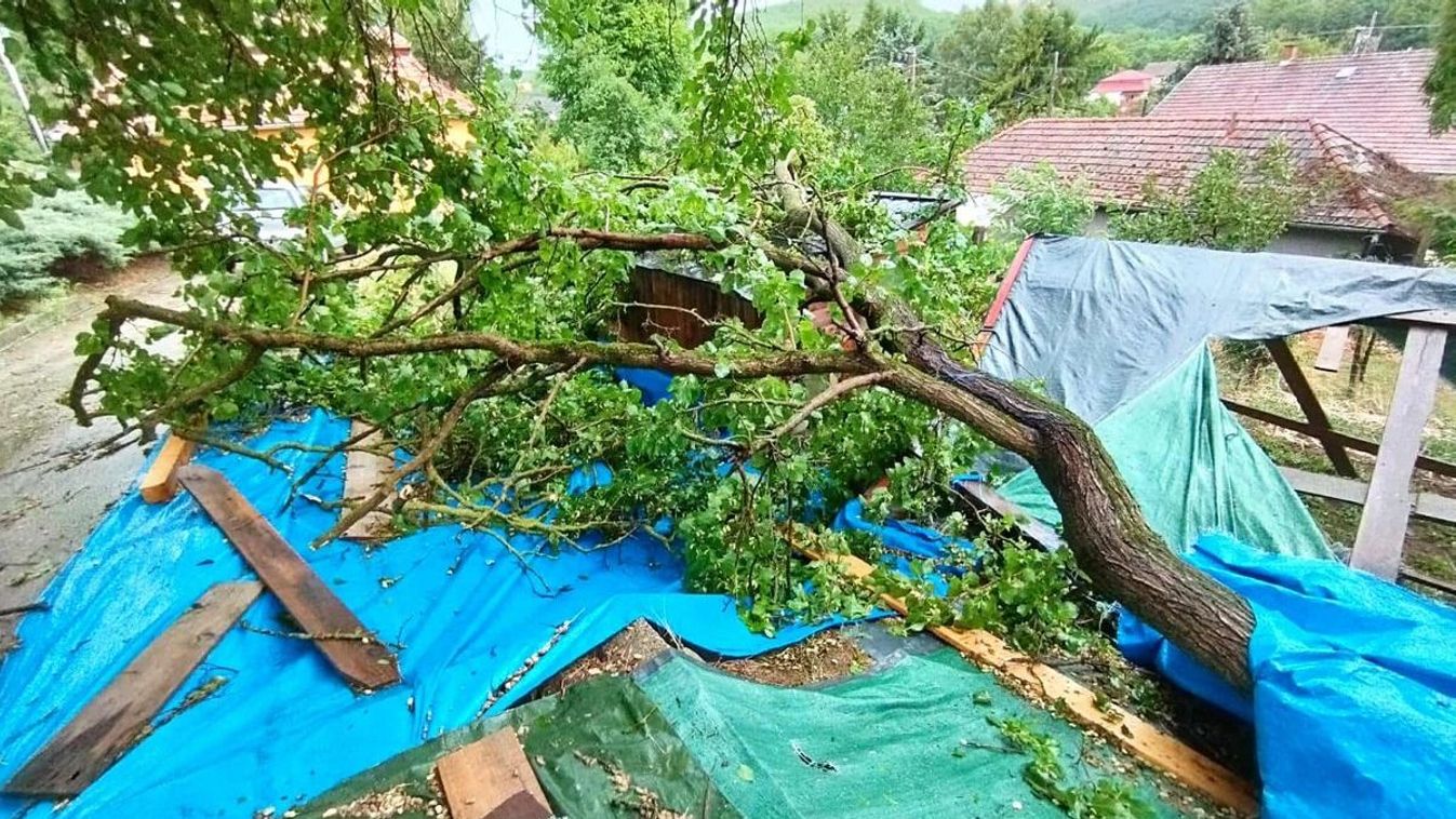 Újabb pusztító vihar készül átsöpörni Nógrádon, brutális szélrohamokkal támad ma az időjárás