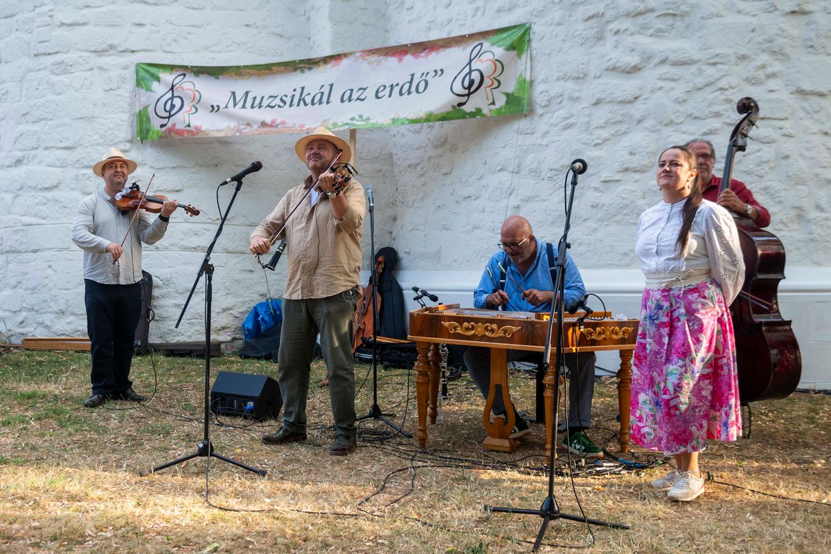 muzsika, Muzsikál az erdő