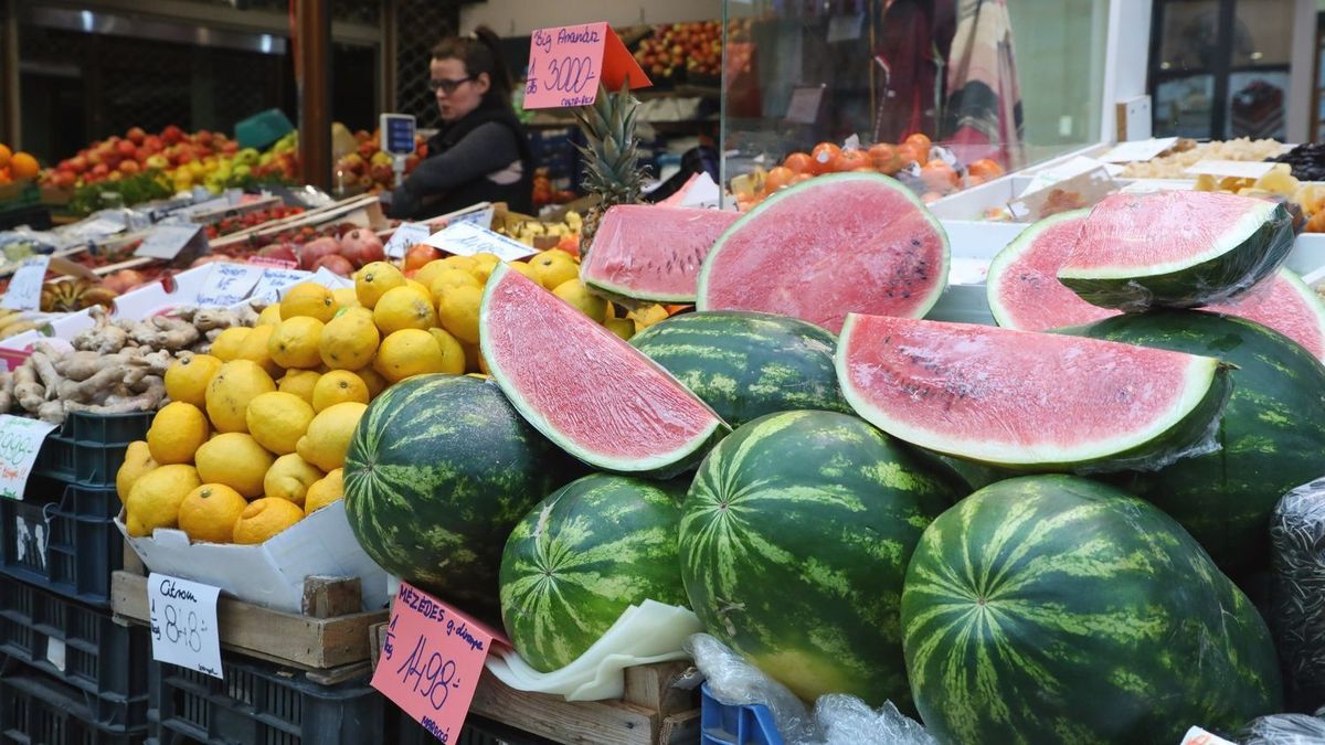 Láttunk már rossz dinnyét, de amibe egy salgótarjáni beleválasztott, maga a zöld-fehér rémálom – fotóval