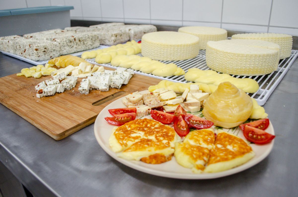 Több nógrádi sajtot is díjaztak a Great Taste Awardson