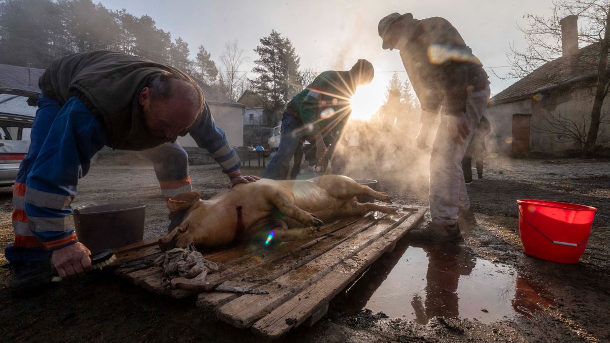 A közösségi programok között túra, disznótor és adventi készülődés is szerepel