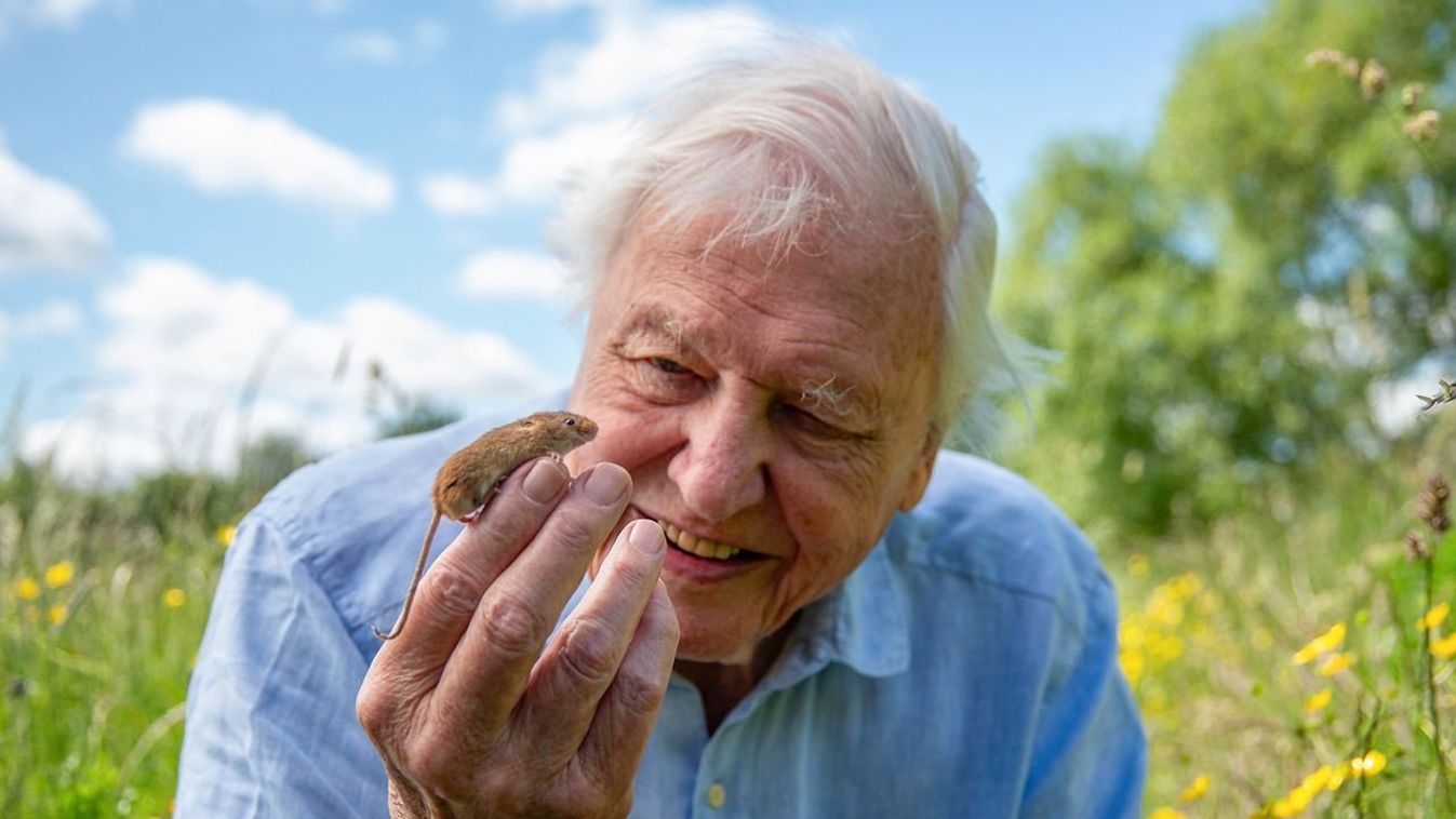 Sir David Attenborough csodás ajándéka